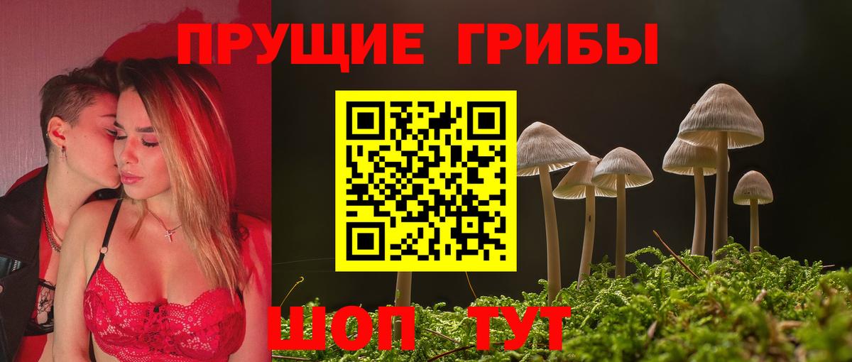 Нововоронеж  Галлюциногенные грибы прущие грибы  Псилоцибиновые грибы Magic Shrooms  Вход с VPN 