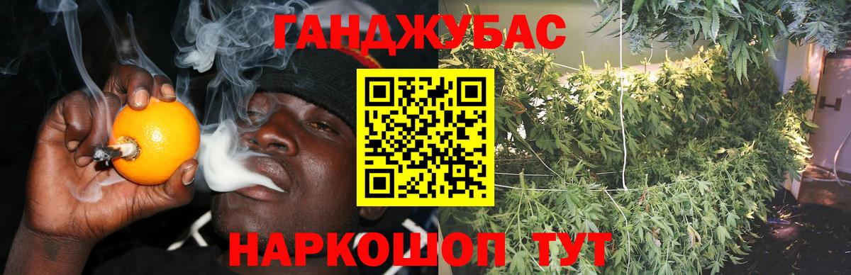 Канабис конопля  Вход с VPN  Конопля VHQ  Бошки Шишки план  Нововоронеж 